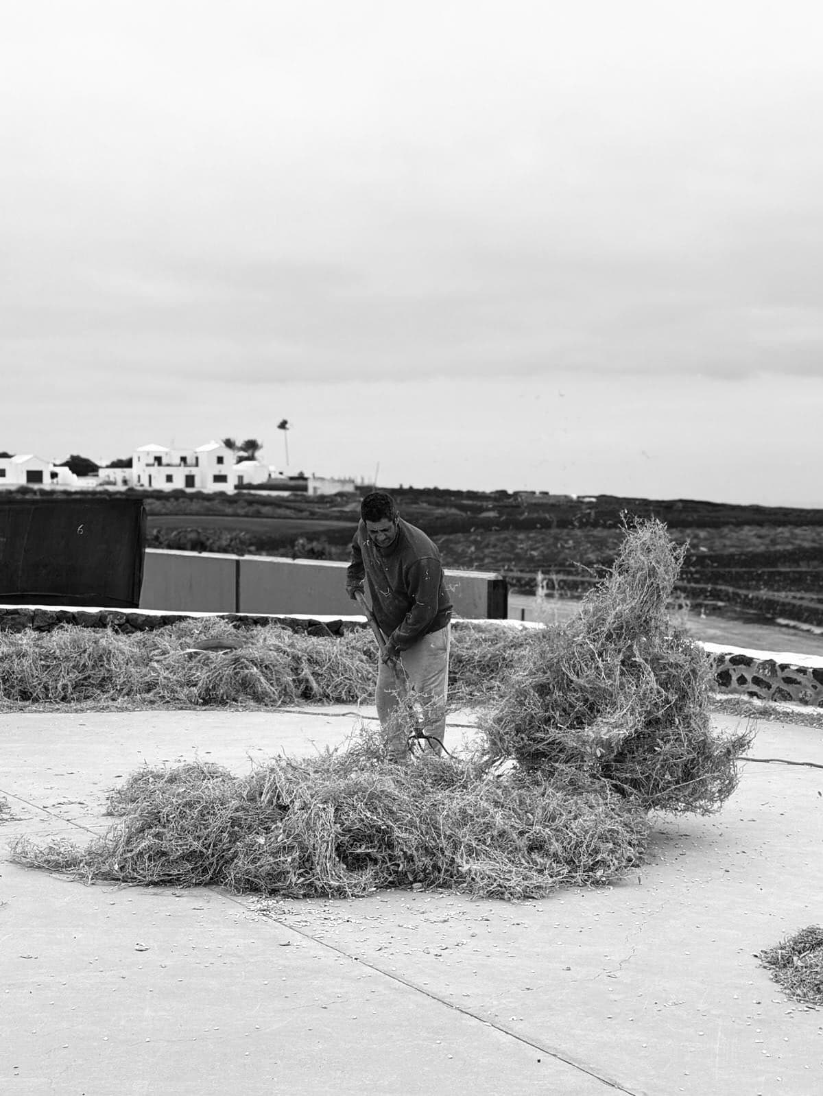 Farm Panorama
